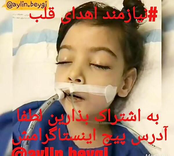 عکس قلبی آیلین