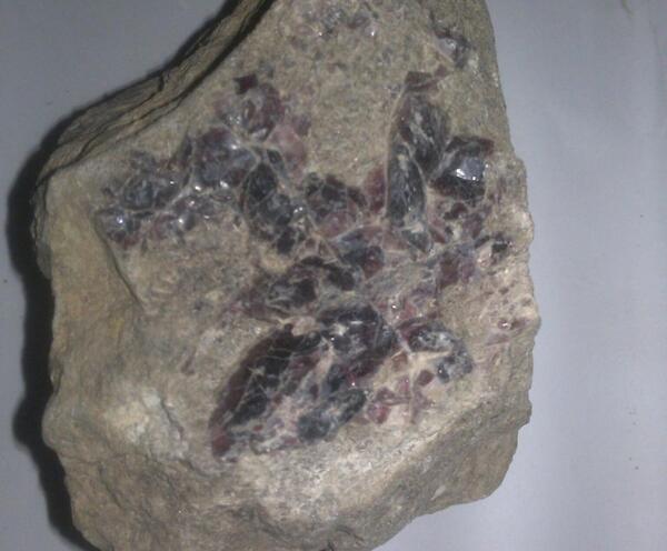 عکس سنگ و شیشه