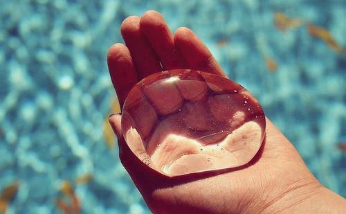 عکس سنگ و شیشه