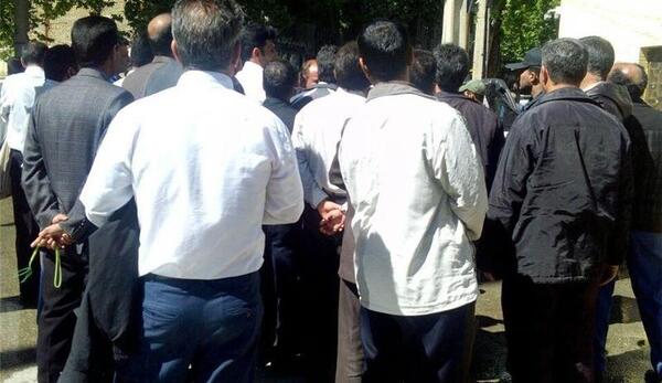 عکس شیر پاژن