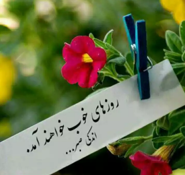 عکس پروفایل زیبا از طبیعت