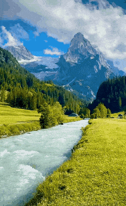 عکس طبیعت متحرک