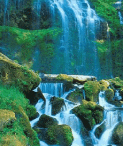 عکس طبیعت متحرک
