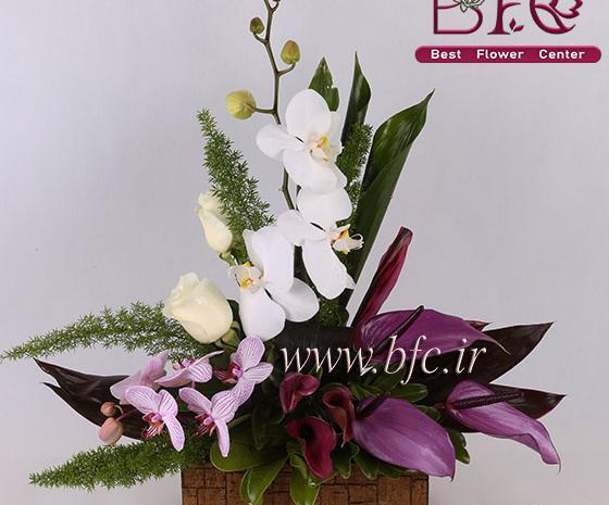 عکس دسته گل ارکیده