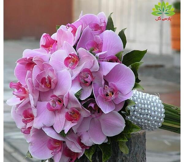 عکس دسته گل ارکیده