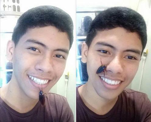 عکس سوسک روی صورت