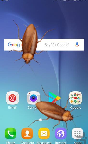 عکس سوسک روی صورت