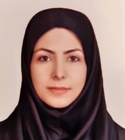 عکس مینا صالحی