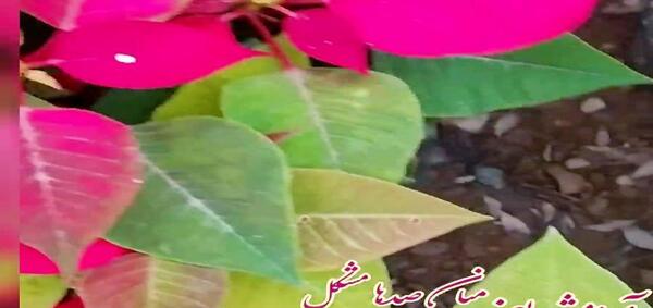 عکس وضعیت واتساپ انرژی مثبت