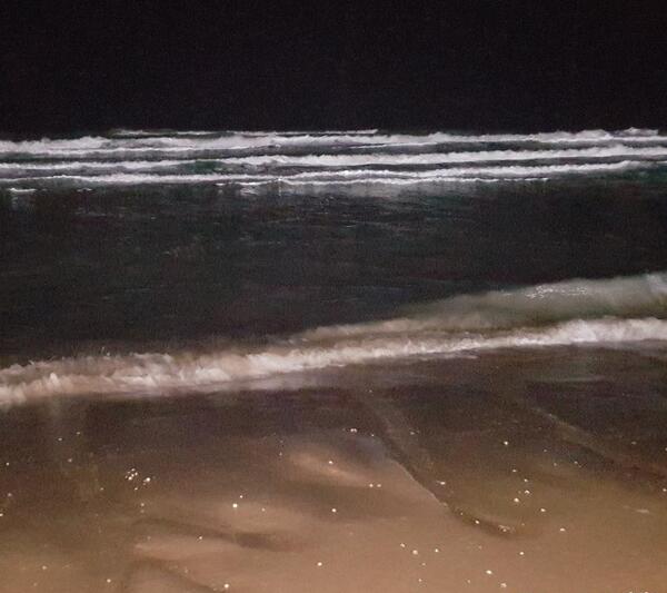 عکس دریا شمال شب
