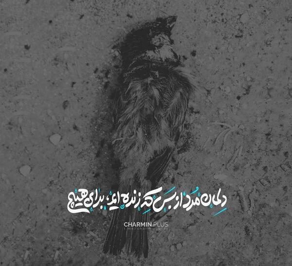 عکس نوشته حسین پناهی میزی برای کار