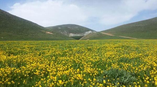 عکس روستای لرد