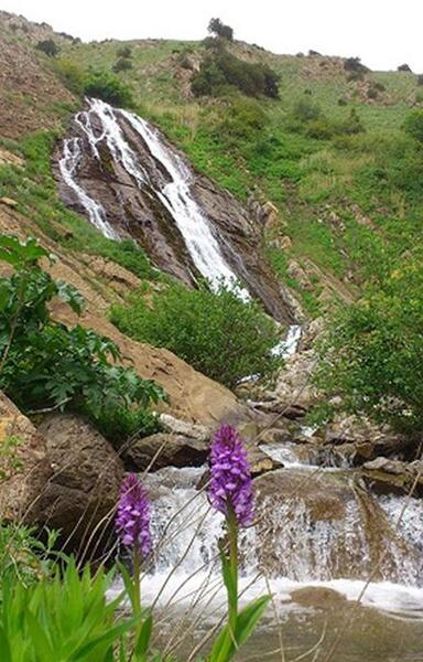 عکس روستای لرد