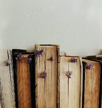عکس پروفایل کتاب