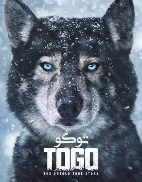 عکس واقعی توگو
