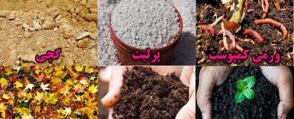 عکس خاک قلیایی
