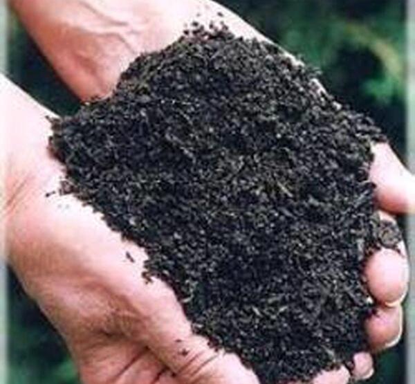 عکس خاک قلیایی