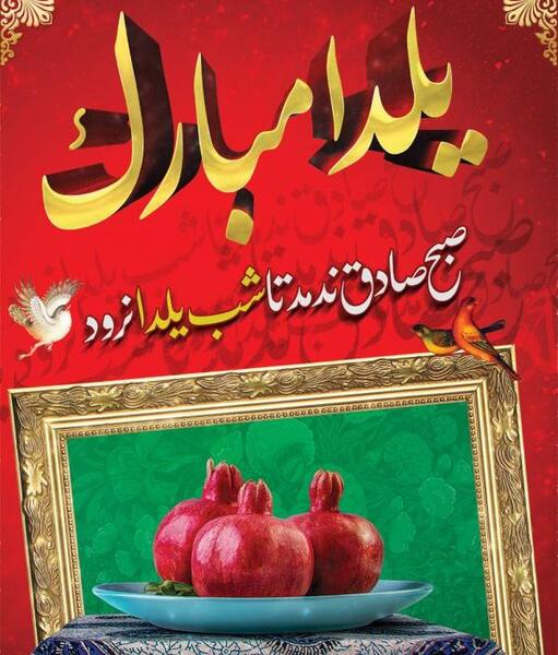 عکس یلدا گل محمدی