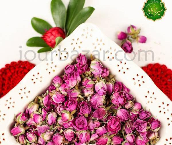 عکس یلدا گل محمدی