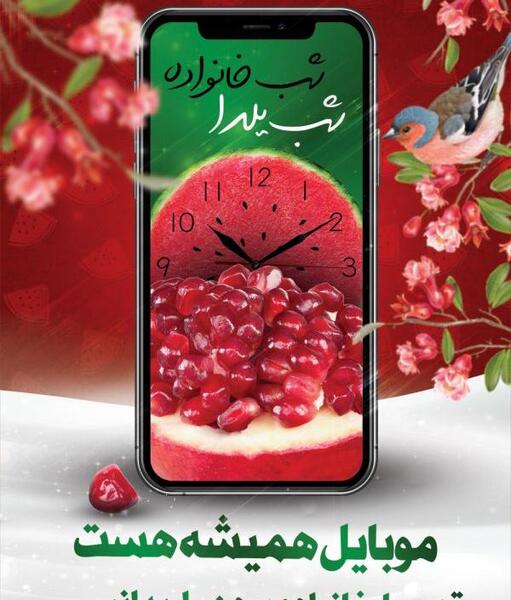 عکس یلدا گل محمدی