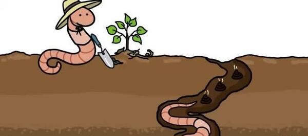 عکس خاک کارتونی