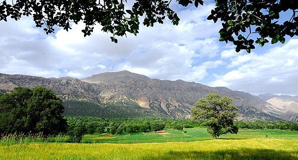 عکس از طبیعت تمیز