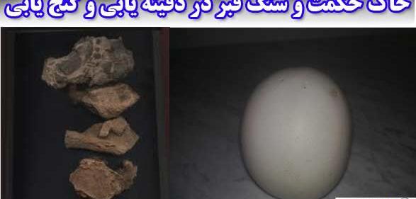 عکس خاک حکمت