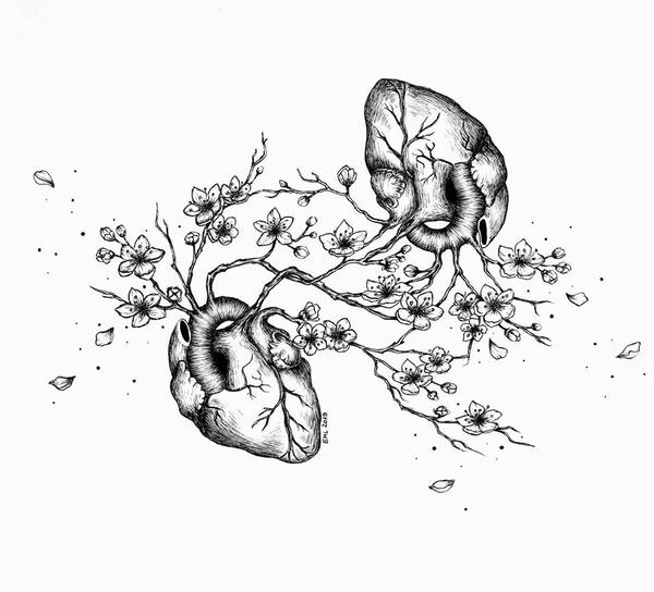 عکس قلب انسان برای پروفایل
