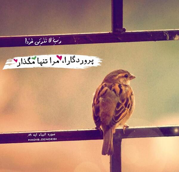 عکس نوشته خدا تنهام نذار