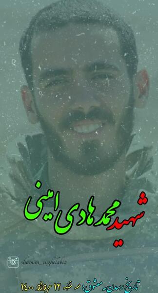 عکس شهید هادی امینی