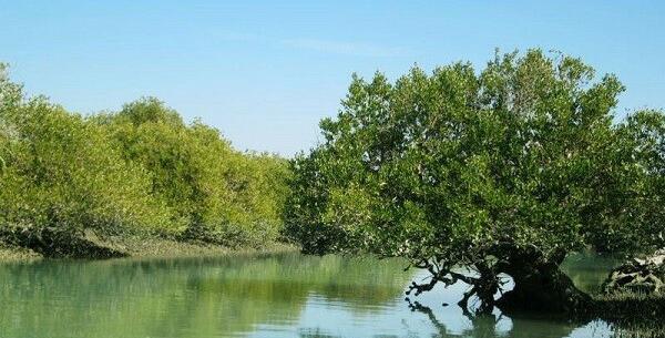 عکس جاهای دیدنی جاسک