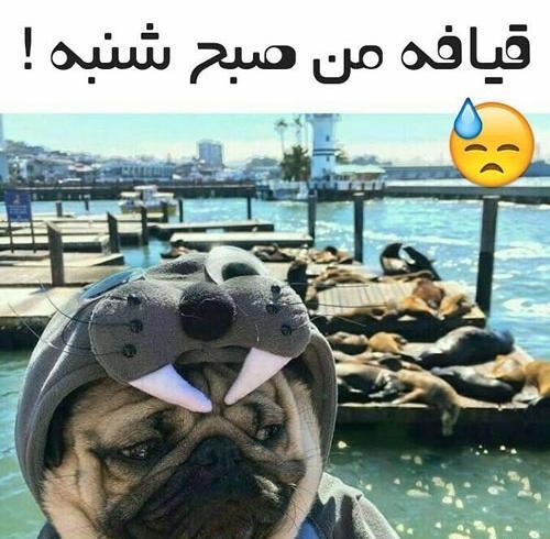 عکس نوشته صبح شنبه بخیر عشقم