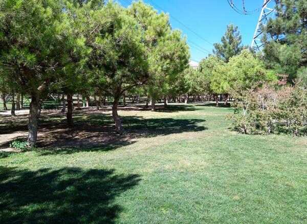 عکس از طبیعت با گوشی