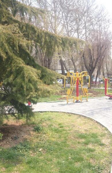 عکس از طبیعت با گوشی