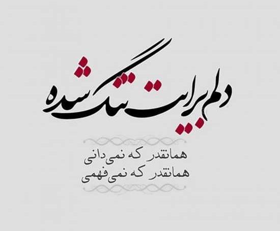 عکس نوشته دلتنگ آغوشتم