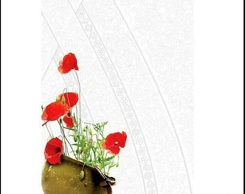 عکس خاک دفاع مقدس