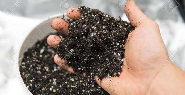 عکس خاک پرلیت