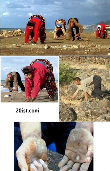 عکس واقعی چهار دست