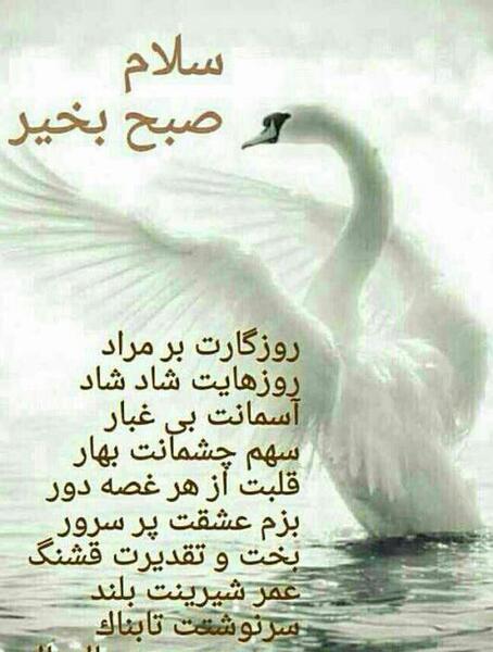 عکس پروف صبح بخیر