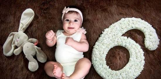 عکس ماهگرد با مواد غذایی