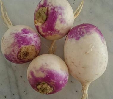 عکس نقاشی کودکانه شلغم