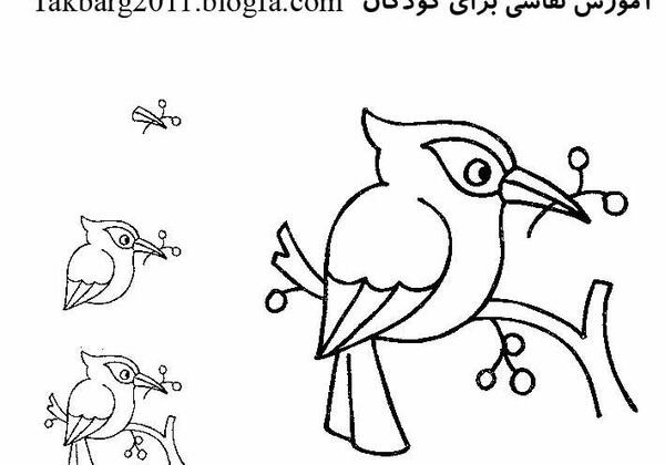 عکس نقاشی دارکوب کودکانه