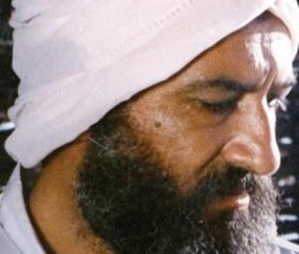 عکس عموی برزو ارجمند