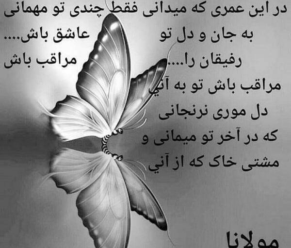 عکس نوشته آرزوهامو خاک کردم