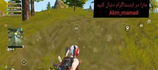 عکس شاخ پابجی
