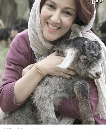 عکس سگ پانته آ بهرام