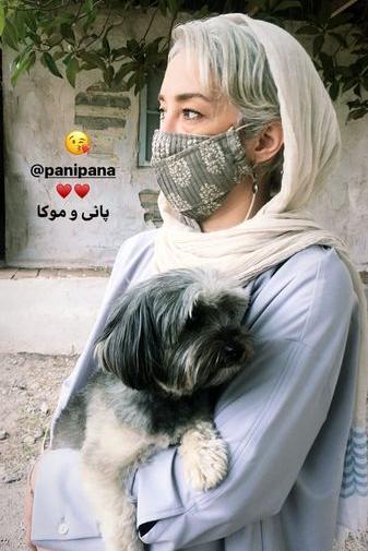 عکس سگ پانته آ بهرام