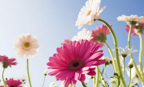 عکسهای دیدنی و زیبا