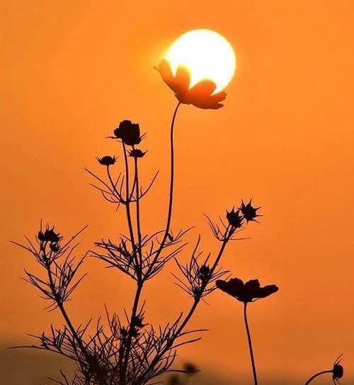 عکس طلوع خورشید برای استوری