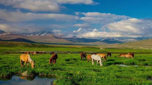 عکس جاهای دیدنی پاکستان